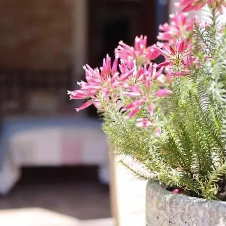 La Tayuela בית כפרי לואנקו