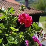 La Tayuela
